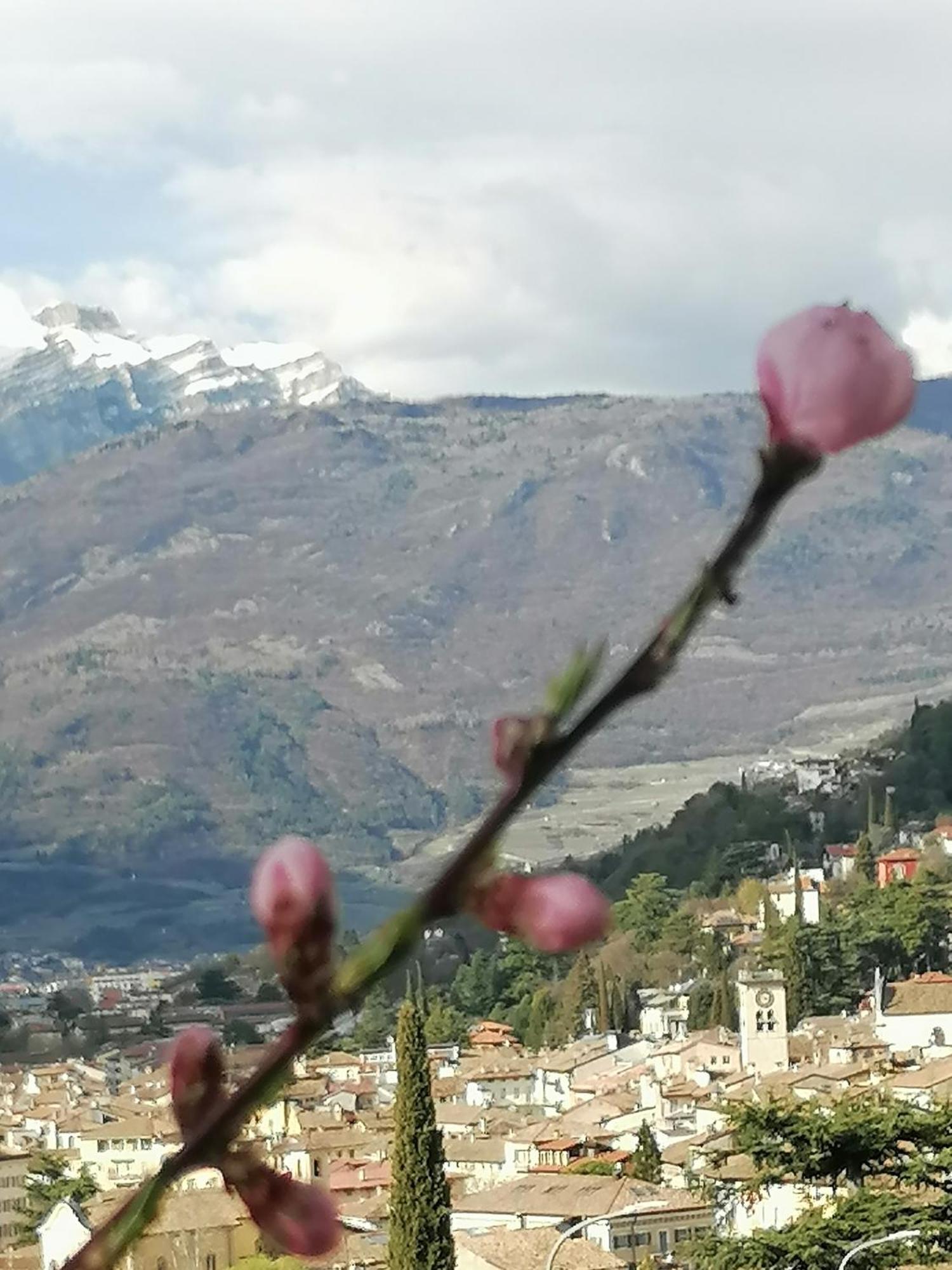 Dolce Dormire Rovereto  Esterno foto